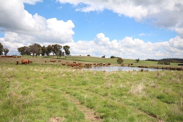 519 Nunans Hill Road, OBERON NSW 2787, Oberon - Thumbnail 2