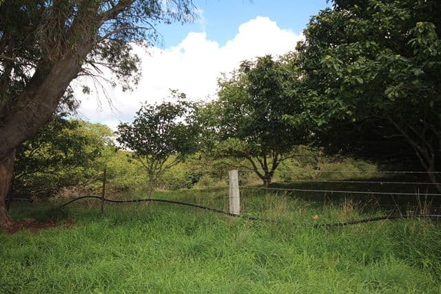 519 Nunans Hill Road, OBERON NSW 2787, Oberon - Thumbnail 5