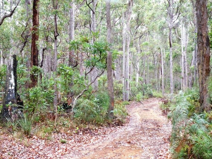 Lot 44 Johnston Road, Nannup WA 6275, Nannup - Thumbnail 6