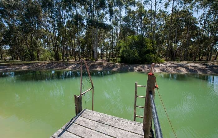Lot 24 Blackwood River Drive, Nannup WA 6275, Nannup - Thumbnail 5
