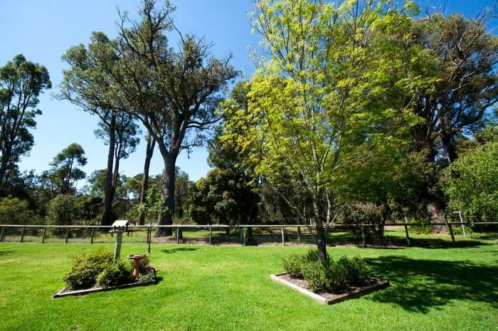 Lot 24 Blackwood River Drive, Nannup WA 6275, Nannup - Thumbnail 4