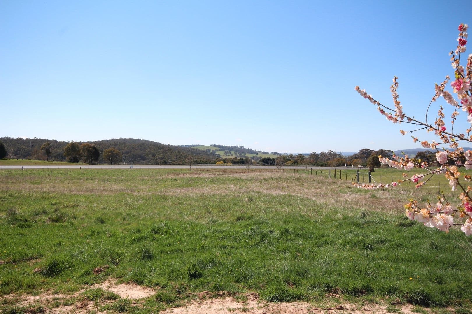 10 Blenheim Avenue, Oberon NSW 2787, Oberon - Thumbnail 3