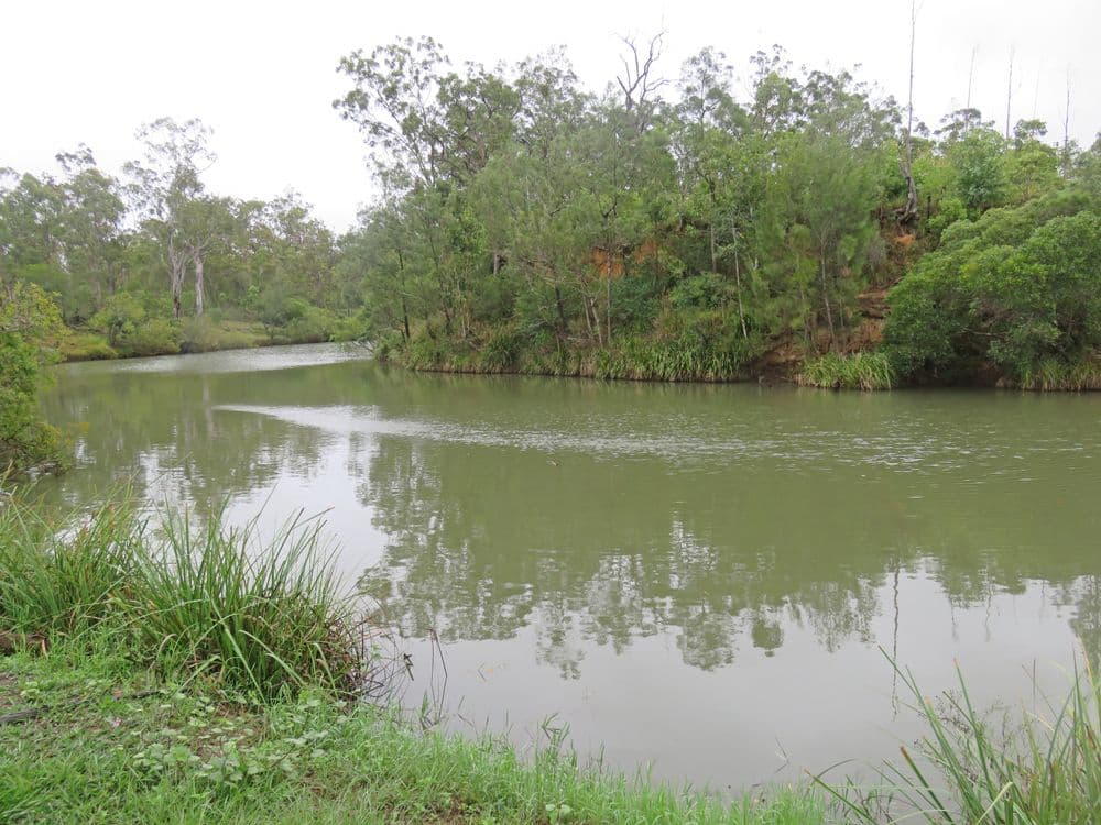 Innot Hot Springs QLD 4872, Innot Hot Springs - Thumbnail 7