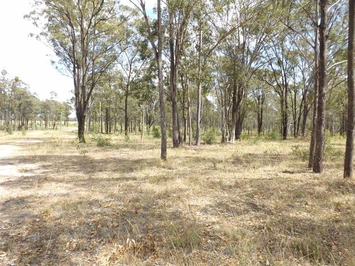 768 Hermitage Road, POKOLBIN NSW 2320, Pokolbin - Thumbnail 4