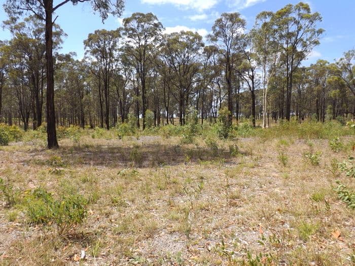 768 Hermitage Road, POKOLBIN NSW 2320, Pokolbin - Thumbnail 5