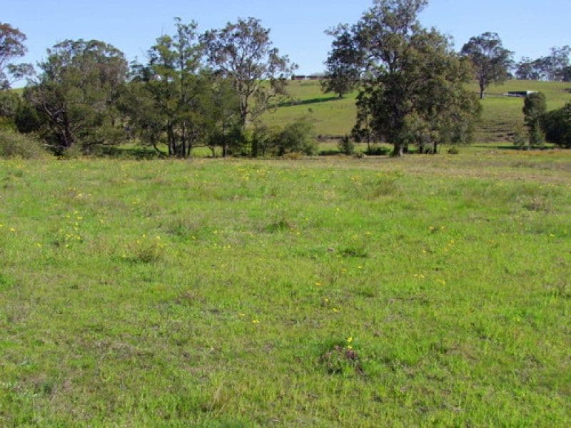 1724 Glendonbrook Road, Singleton NSW 2330, Singleton - Thumbnail 5