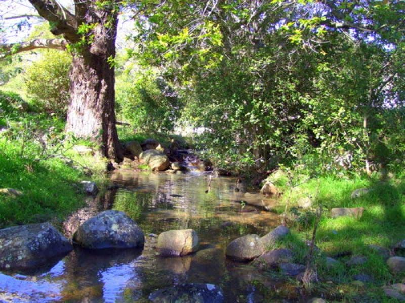 1724 Glendonbrook Road, Singleton NSW 2330, Singleton - Thumbnail 7
