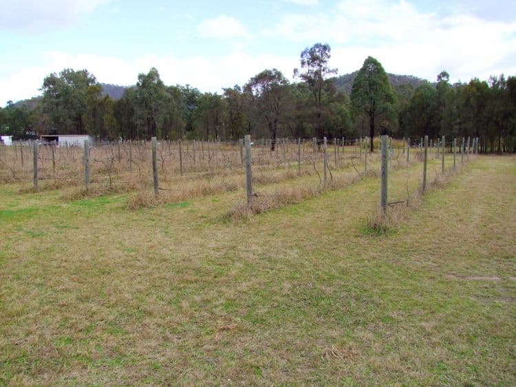 19B Turnbull Road, BULGA NSW 2330, Bulga - Thumbnail 4
