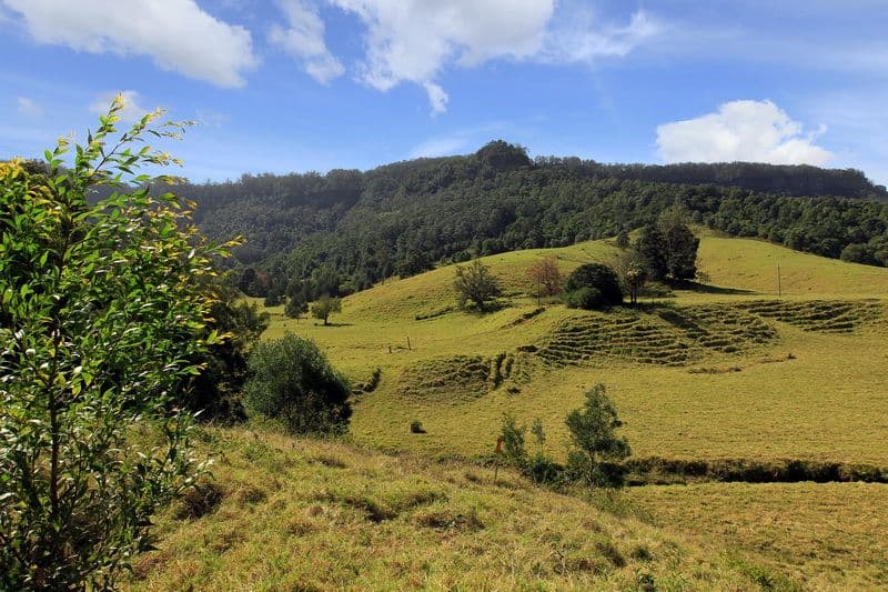 Lot 104 Browns Mountain Road, Cambewarra NSW 2540, Cambewarra - Thumbnail 3