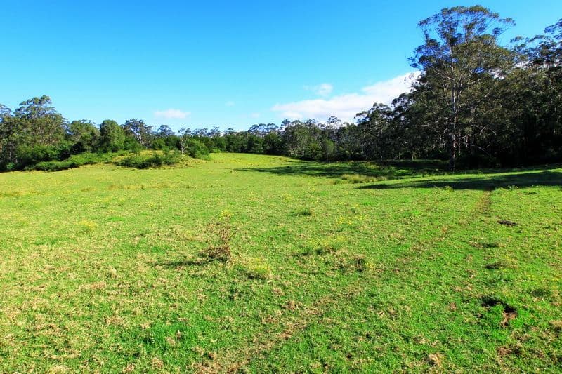 Lots 56 and 111 Main Road, Cambewarra NSW 2540, Cambewarra - Thumbnail 6