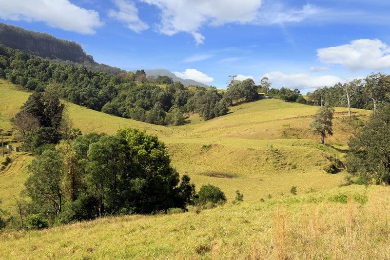 Lot 104 Browns Mountain Road, Cambewarra NSW 2540, Cambewarra - Thumbnail 2