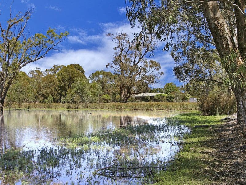 84 Dobson Road, Benalla VIC 3672, Benalla - Thumbnail 6