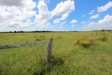 1053 Coraki Road, Ruthven NSW 2480, Ruthven - Thumbnail 6