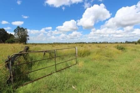 1053 Coraki Road, Ruthven NSW 2480, Ruthven - Thumbnail 5