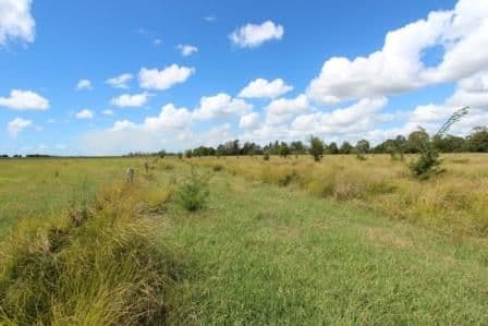 1053 Coraki Road, Ruthven NSW 2480, Ruthven - Thumbnail 7