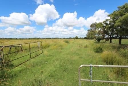 1053 Coraki Road, Ruthven NSW 2480, Ruthven - Thumbnail 4