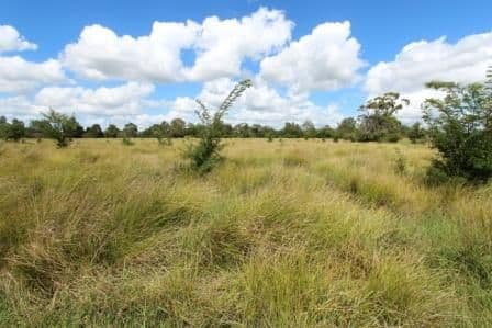 1053 Coraki Road, Ruthven NSW 2480, Ruthven - Thumbnail 8