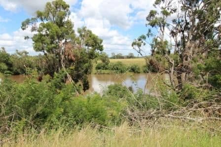 1053 Coraki Road, Ruthven NSW 2480, Ruthven - Thumbnail 2