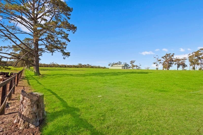 13 Barakee Road, Peats Ridge NSW 2250, Peats Ridge - Thumbnail 5