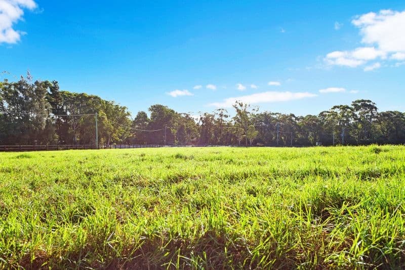 13 Barakee Road, Peats Ridge NSW 2250, Peats Ridge - Thumbnail 4
