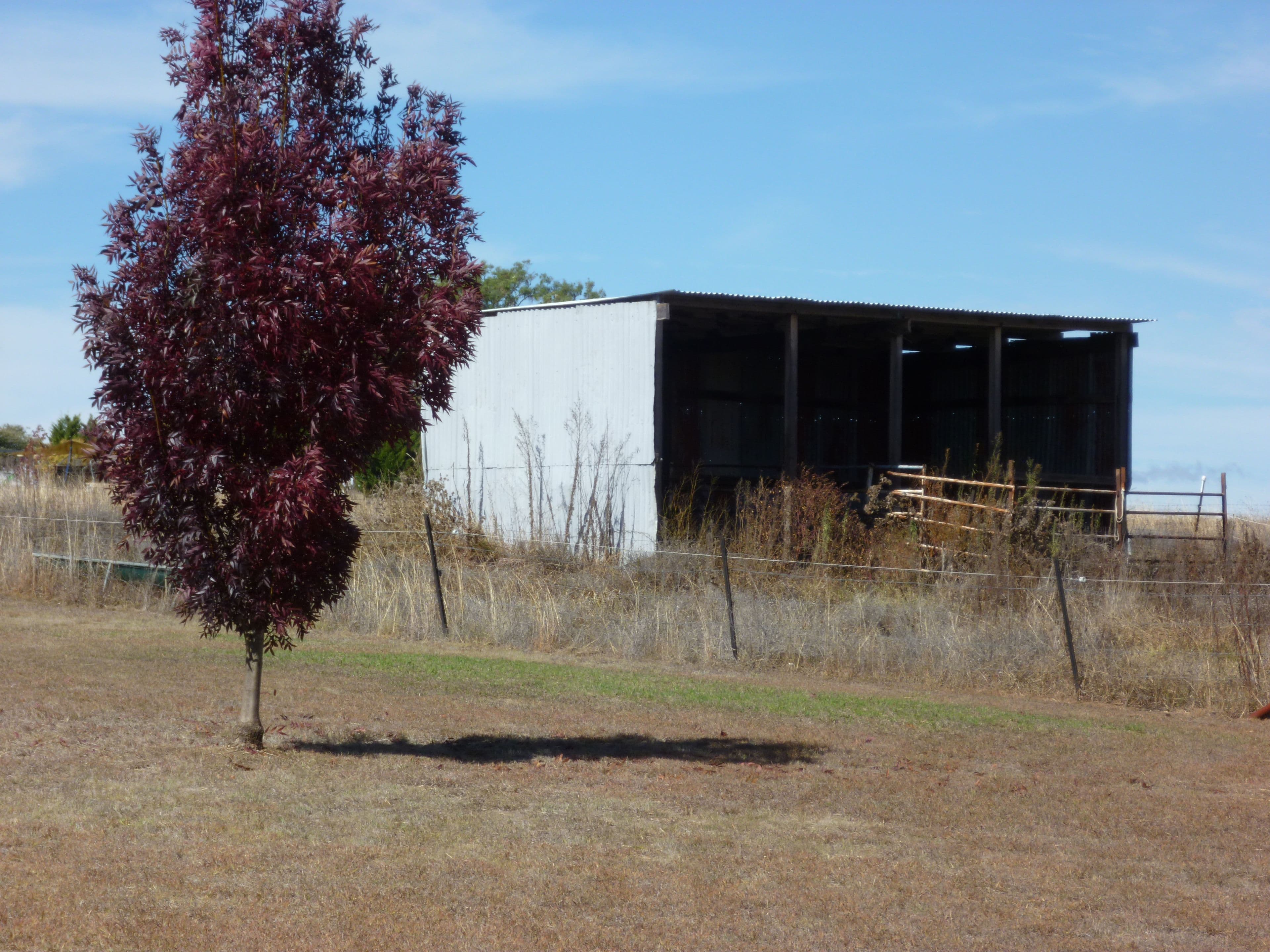 389 Auburn Vale Road, Inverell NSW 2360, Inverell - Thumbnail 8