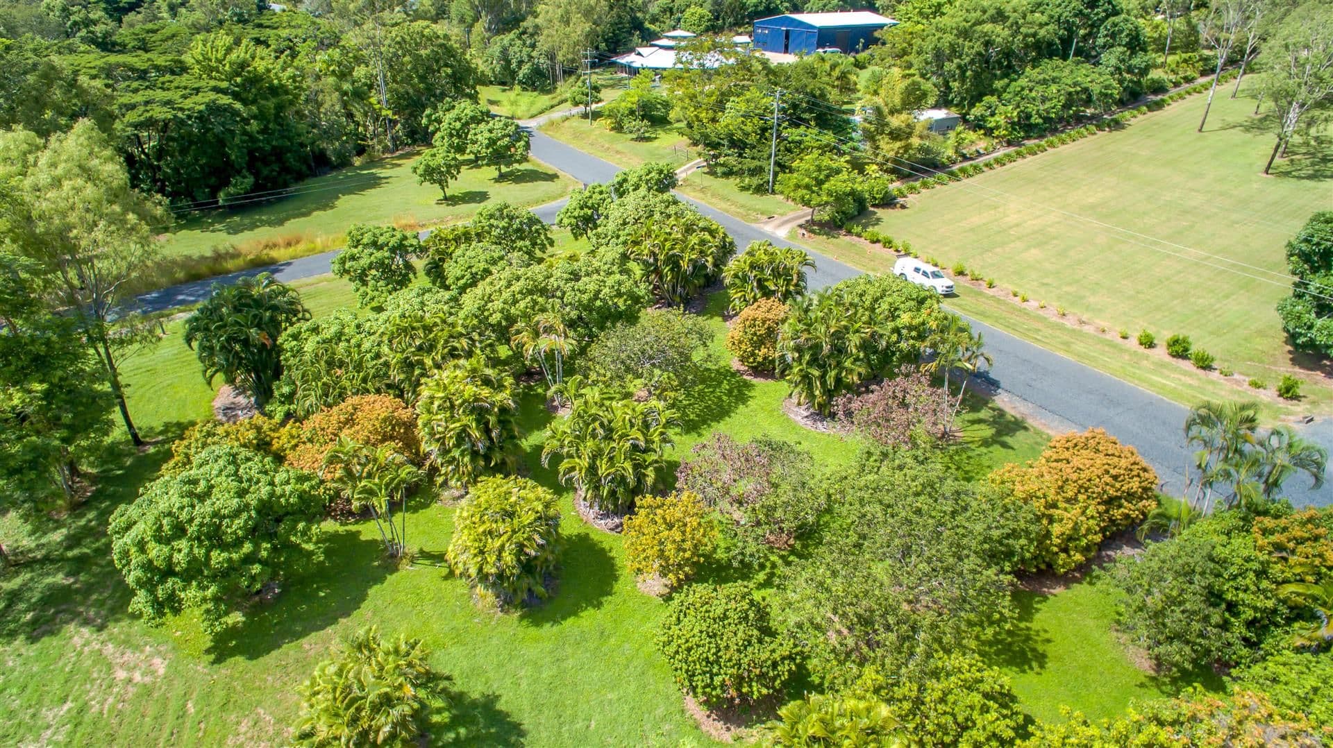 63 Orchid Road, Cannonvale QLD 4802, Cannonvale - Thumbnail 3