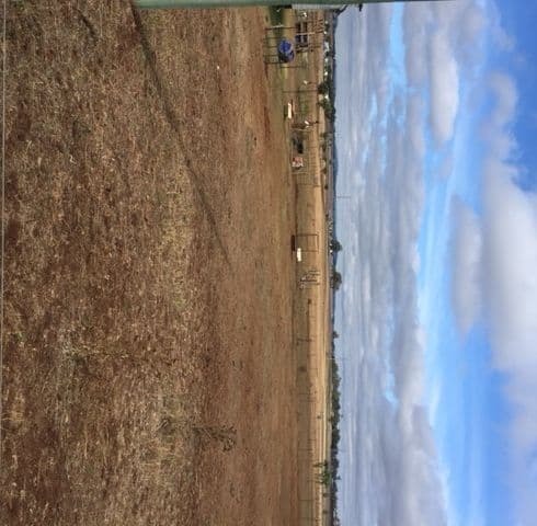 99 Bunkers School Road, Westbrook QLD 4350, Westbrook - Thumbnail 4