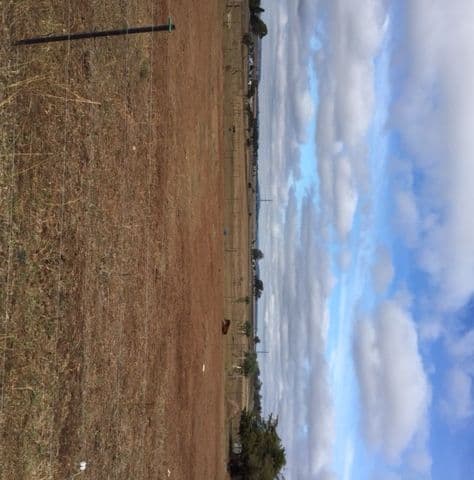 99 Bunkers School Road, Westbrook QLD 4350, Westbrook - Thumbnail 3