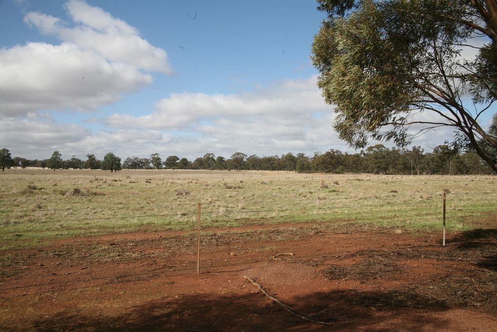 151 Daroobalgie Road, Forbes NSW 2871, Forbes - Thumbnail 6