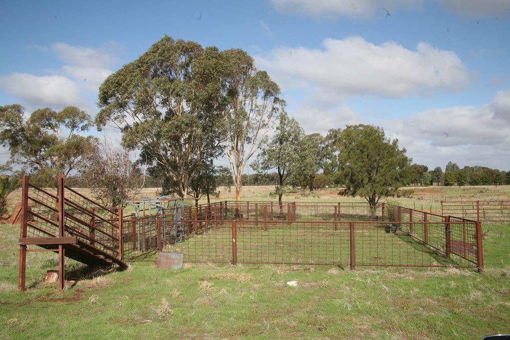151 Daroobalgie Road, Forbes NSW 2871, Forbes - Thumbnail 5