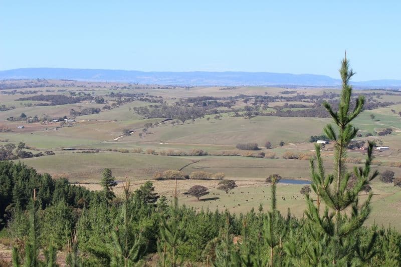 Fitzgeralds Valley NSW 2795, Fitzgeralds Valley - Thumbnail 4