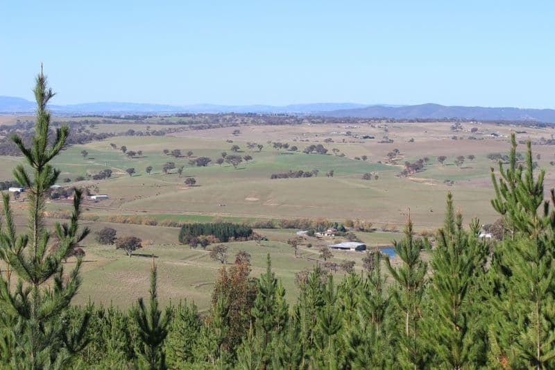Fitzgeralds Valley NSW 2795, Fitzgeralds Valley - Thumbnail 2