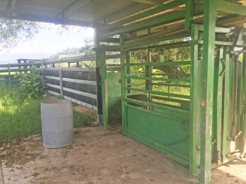 UPPER DAINTREE QLD 4873, Upper Daintree - Thumbnail 4