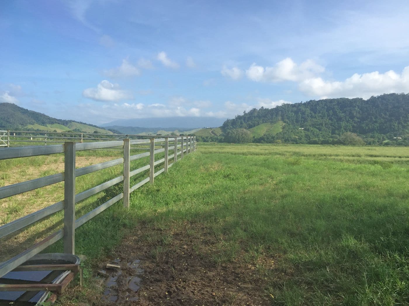 UPPER DAINTREE QLD 4873, Upper Daintree - Image 1