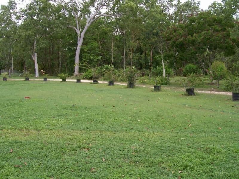 111 Exelbys Road, Upper Stone QLD 4850, Upper Stone - Thumbnail 3