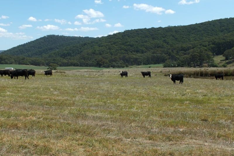Lot 1 189 Norman Lea Road, Hampton NSW 2790, Hampton - Thumbnail 6