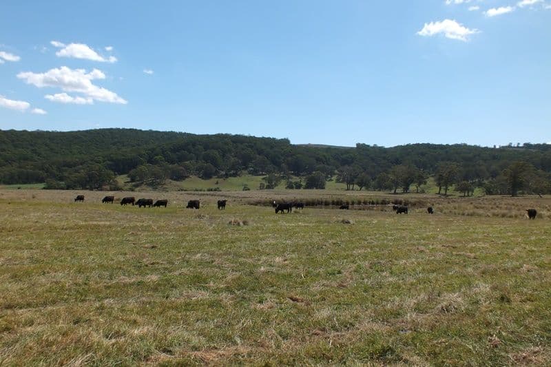 Lot 1 189 Norman Lea Road, Hampton NSW 2790, Hampton - Thumbnail 8