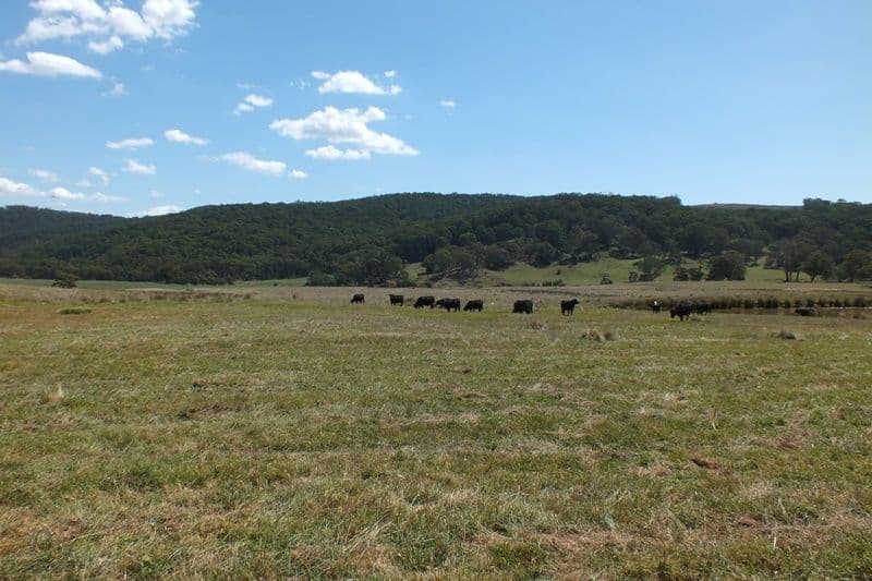 Lot 1 189 Norman Lea Road, Hampton NSW 2790, Hampton - Thumbnail 7