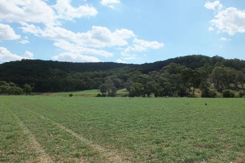 Lot 1 189 Norman Lea Road, Hampton NSW 2790, Hampton - Thumbnail 4