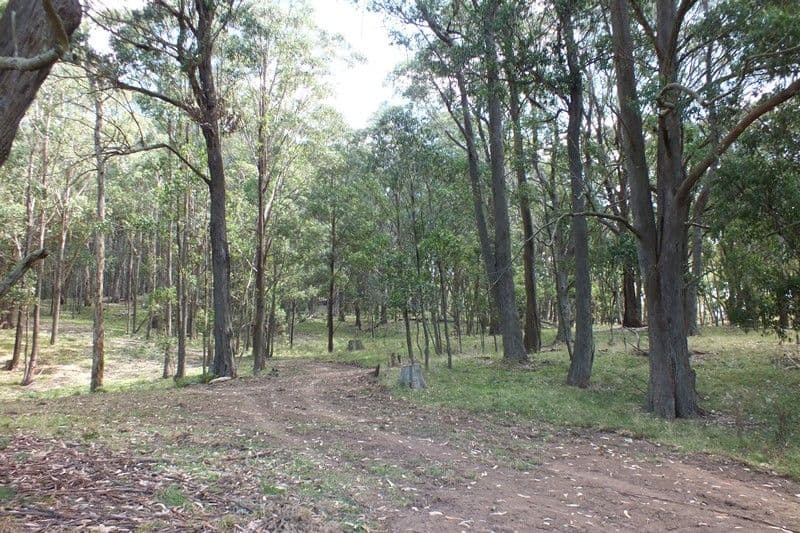 Lot 3 189 Norman Lea Road, Hampton NSW 2790, Hampton - Thumbnail 8