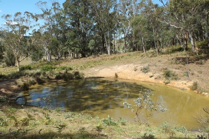 Lot 3 189 Norman Lea Road, Hampton NSW 2790, Hampton - Thumbnail 5