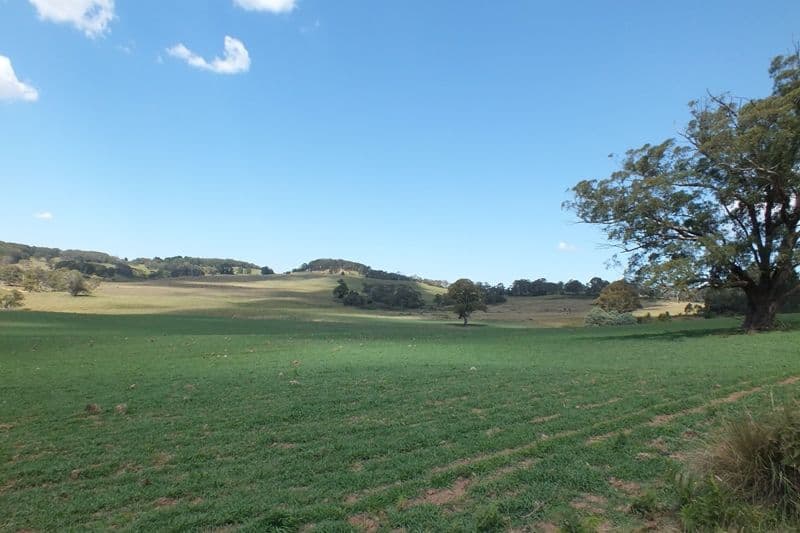 Lot 3 189 Norman Lea Road, Hampton NSW 2790, Hampton - Thumbnail 6