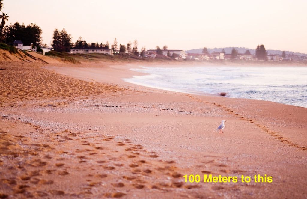 1/1247 Pittwater Road, Narrabeen NSW 2101, Narrabeen - Image 1