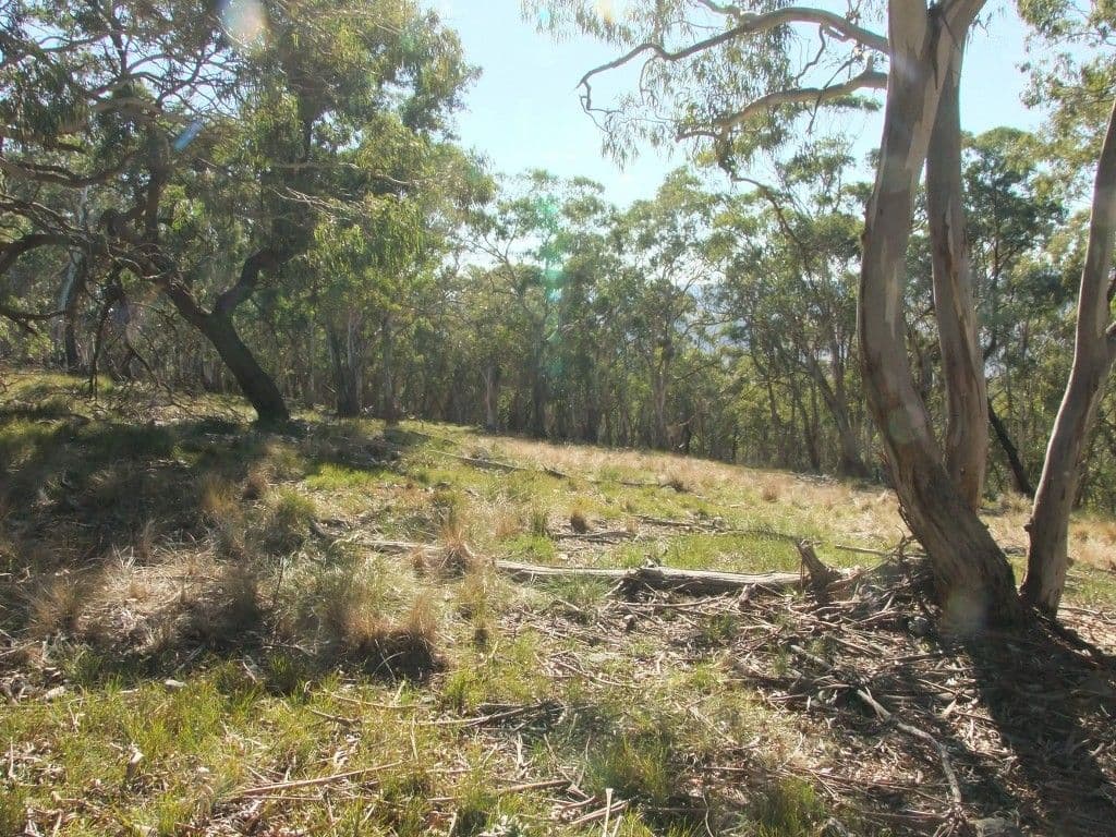 Lithgow NSW 2790, Lithgow - Thumbnail 4