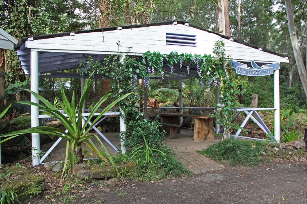 824 Batar Creek, Kendall NSW 2439, Kendall - Thumbnail 4