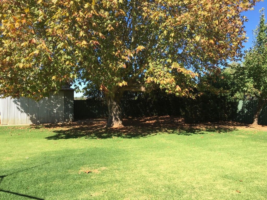 120 Mccarthy Road, Lake Wyangan - Thumbnail 2