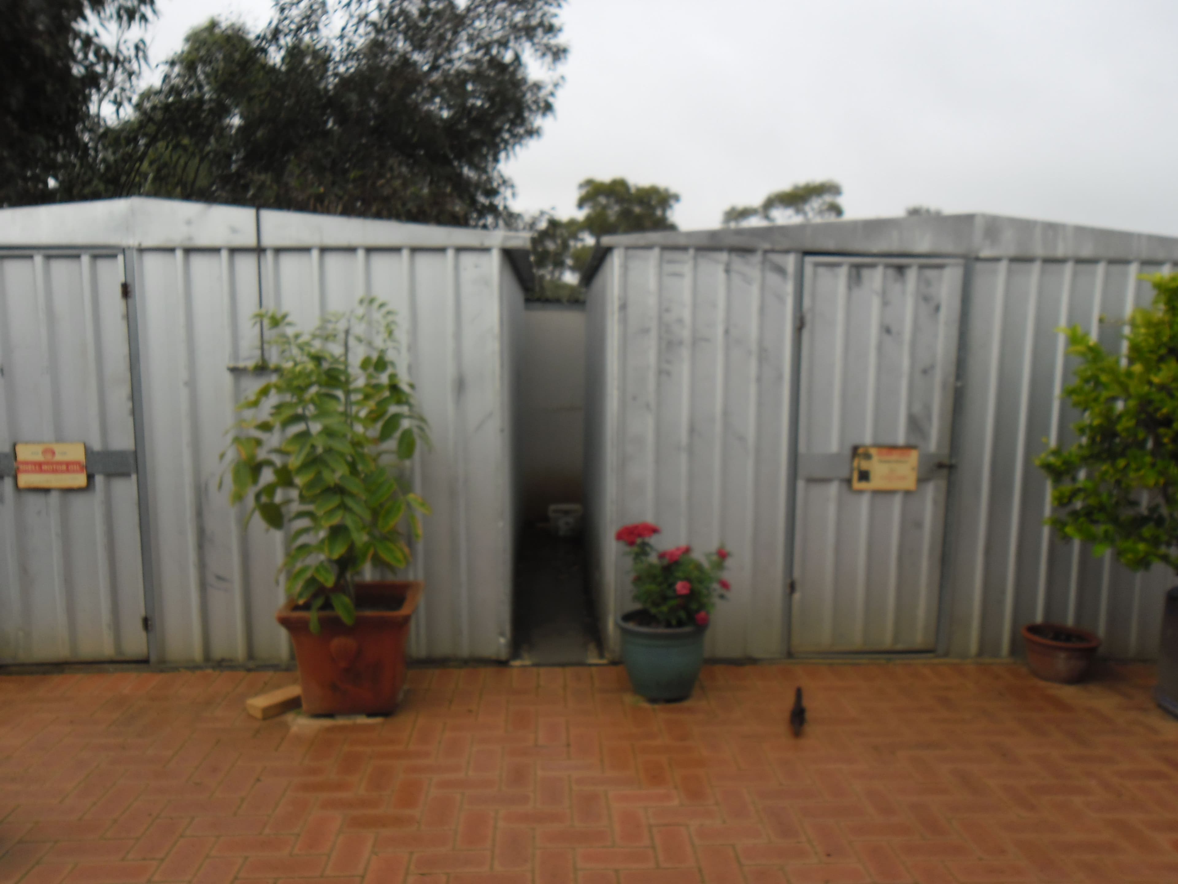 15 Richards Street, Latham WA 6616, Latham - Thumbnail 5