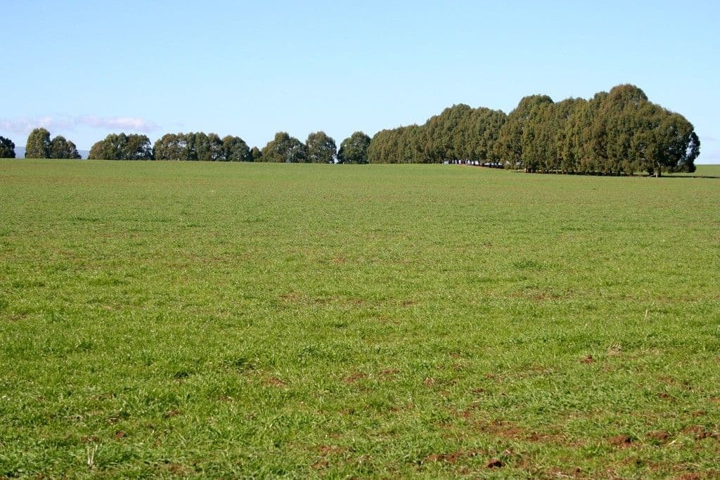 Tumbarumba NSW 2653, Tumbarumba - Thumbnail 4