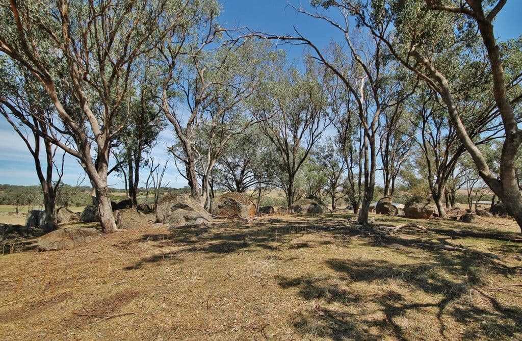 405 (Lot 3) Spring Creek Road, Young NSW 2594, Young - Thumbnail 8