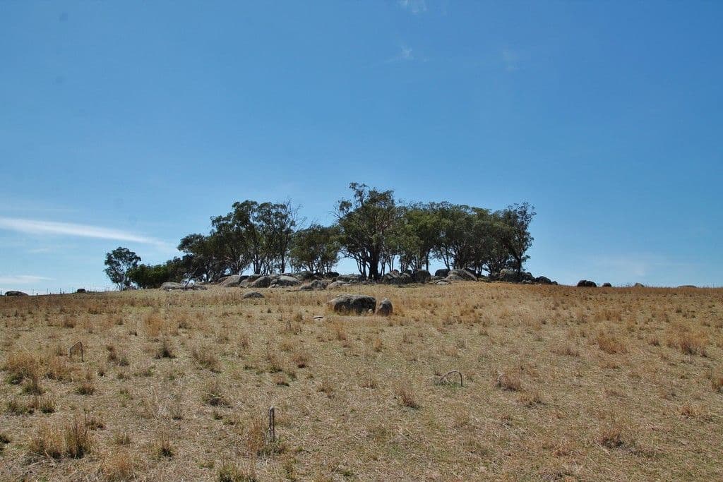 405 (Lot 3) Spring Creek Road, Young NSW 2594, Young - Thumbnail 4